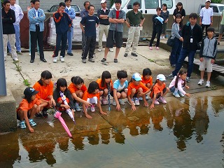 アマモ種子採取