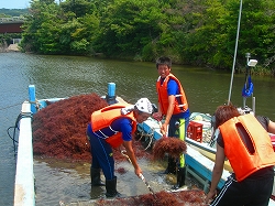 関西国際大学インターンシップ実習