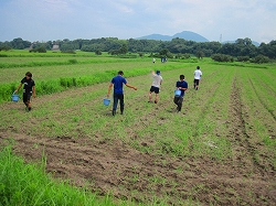 関西国際大学インターンシップ実習