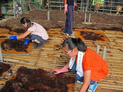 関西国際大学インターンシップ実習