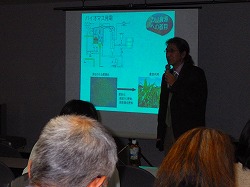 代替カリ肥料原料としての海藻と木質バイオマス燃焼灰の利用可能性