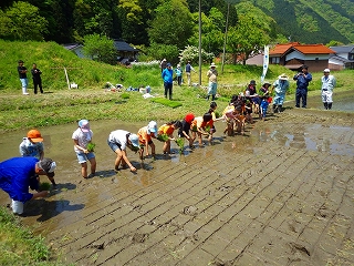 GreenGiftプロジェクト 田植え
