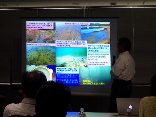 アマモ・コアマモ勉強会