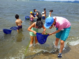 きれいになった中海で泳がいや_生物調査