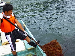 関西国際大学インターンシップ実習