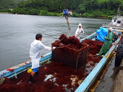 関西国際大学インターンシップ実習