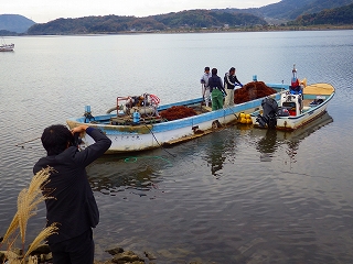中海の海藻刈りを取材中