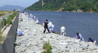 沿岸清掃