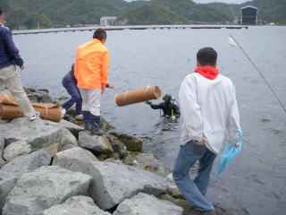 アマモシート敷設
