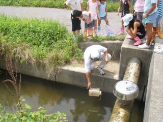 生物調査