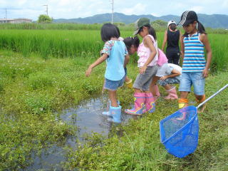 生物調査