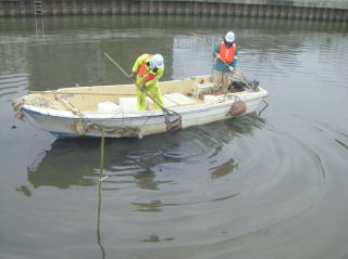 生物調査