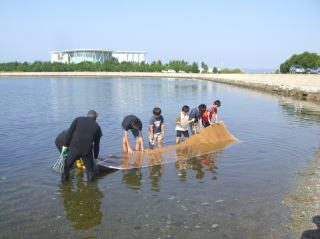 アマモシート大崎