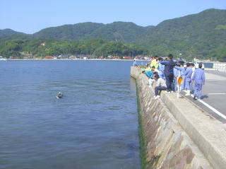 アマモシート清水