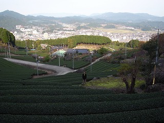 佐賀県嬉野市