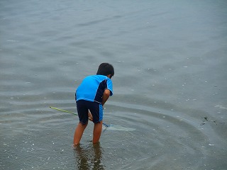 中海海開き