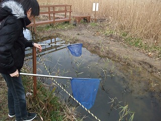 米子水鳥公園