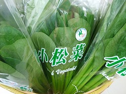 第3回野菜市