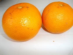 第3回野菜市