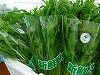 サラダ水菜